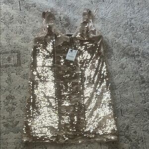 Zara Sequin Dress in Shimmering Gold